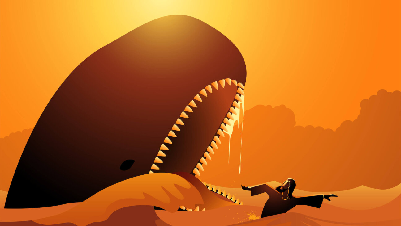 Jonah had compassion for the whale — but what about Nineveh?