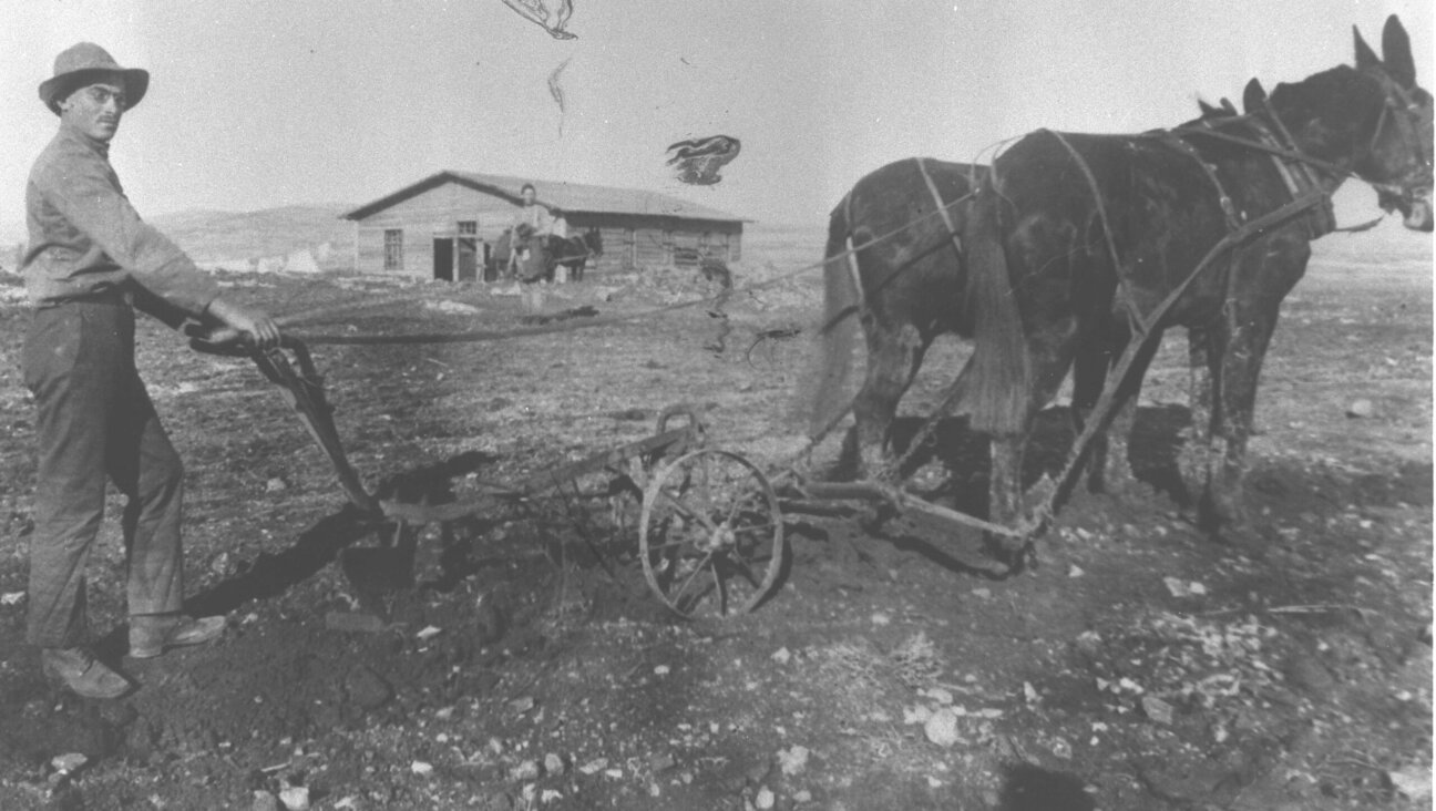 A settler ploughing the land of Kibbutz Kiryat Anavim, in the Judean Hills, Nov. 30, 1920 
