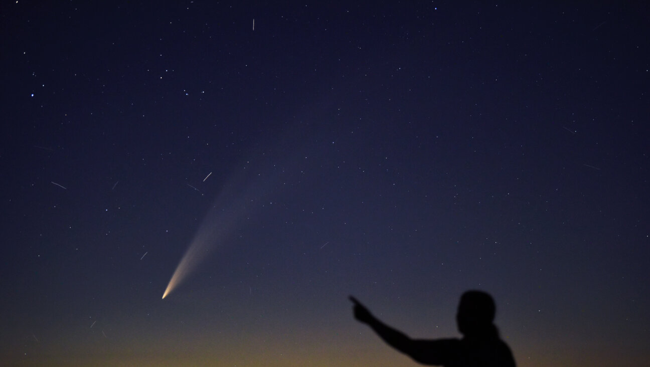 A comet as seen earlier this year.