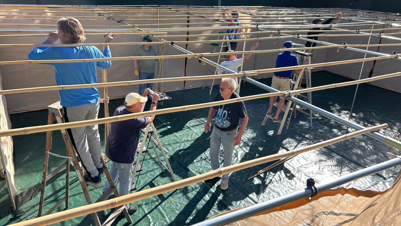 Members of Temple Isaiah’s Men’s Club, Anshei Isaiah, build a new sukkah for the Pasadena Jewish Temple and Center. 