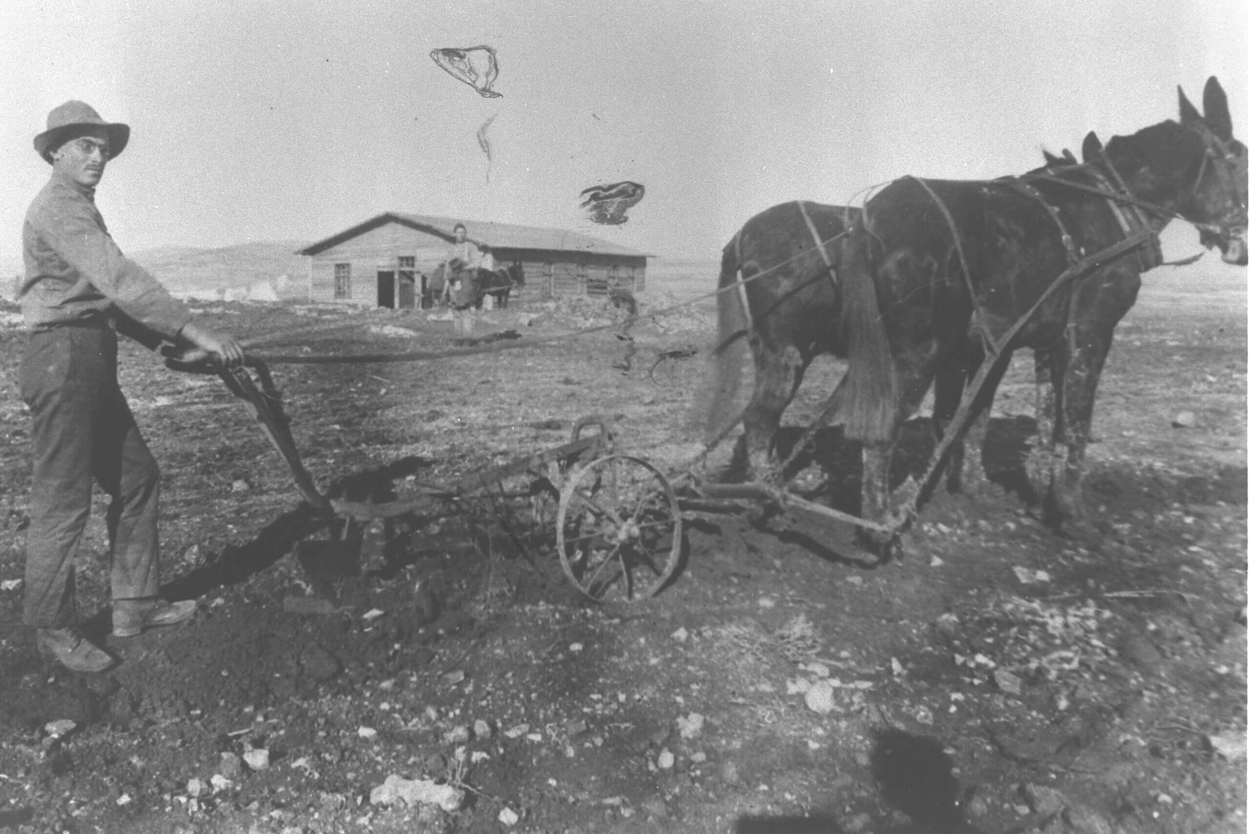 A glimpse of the Jewish left in 1920s Palestine