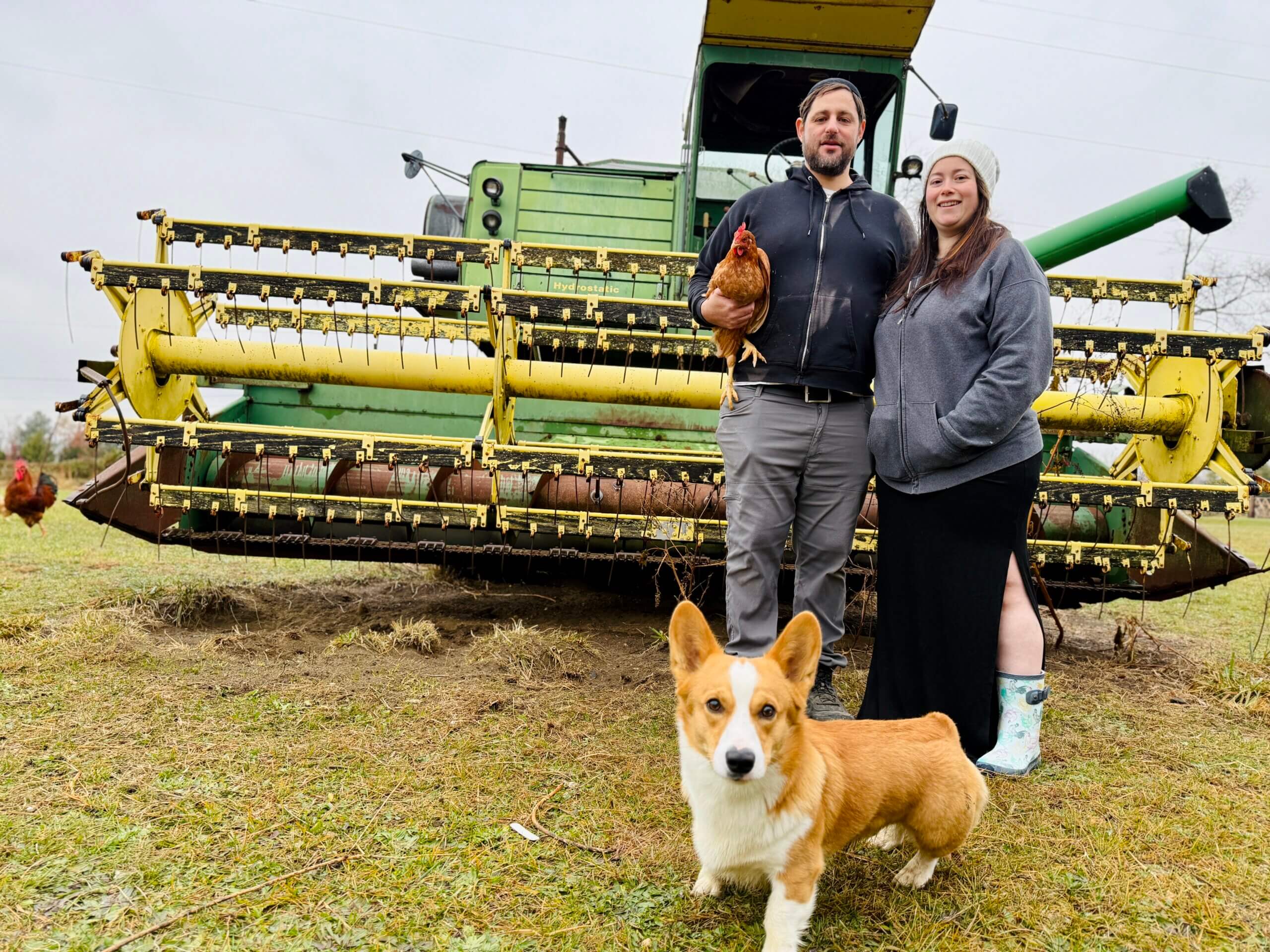 Yadidya and Miriam Greenberg run Chosen Farms, a kosher heritage poultry operation.