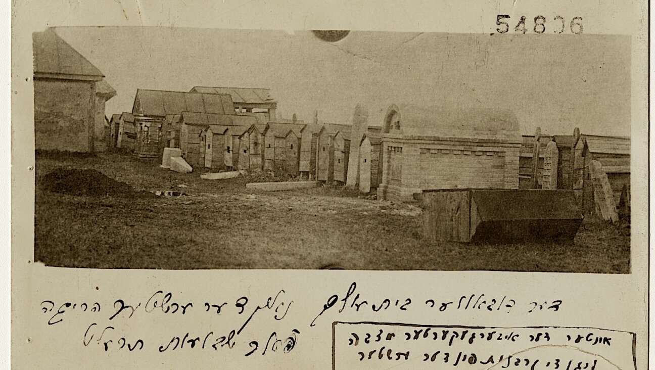 דער דובאָווער בית־עולם נאָך דער ערשטער הריגה. ווי עס שטייט דאָ געשריבן, ליגן די קרבנות אונטער דער איבערגעקערטער מצבֿה 