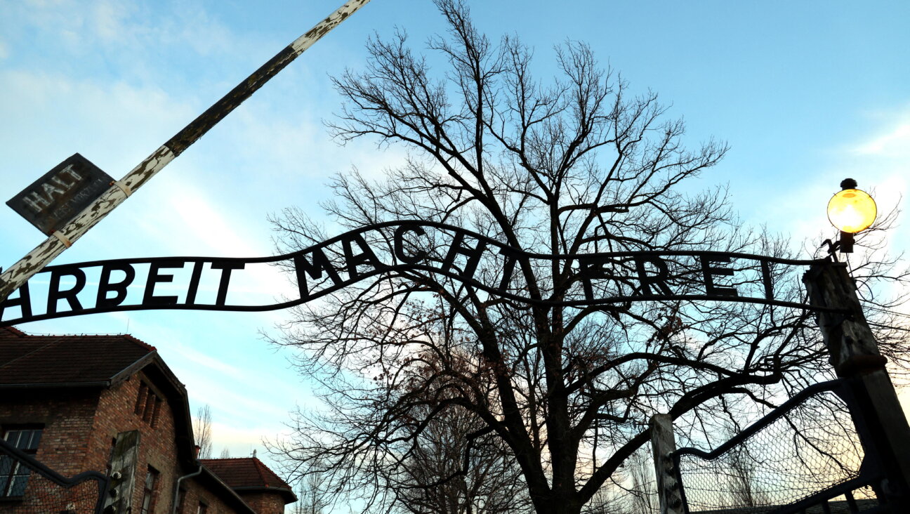 The gates of Auschwitz.