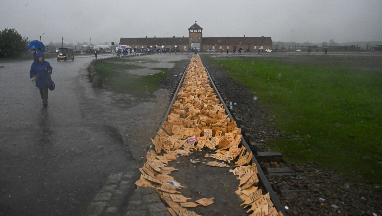 The train tracks into Auschwitz.