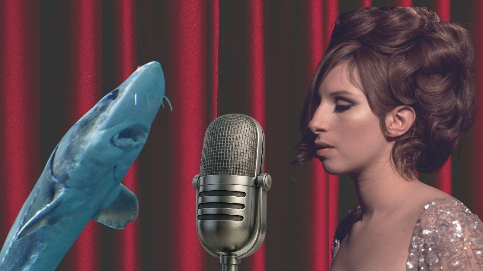 Who ever could have anticipated that Barbra Streisand (seen here with a sturgeon) would be the subject of a particularly fishy mystery?