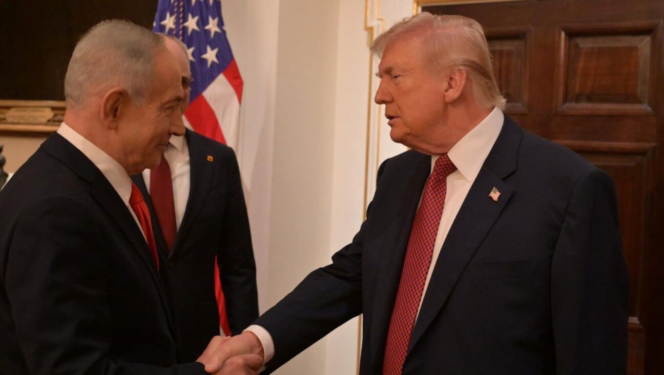 President Donald Trump (R) meets with the Israeli Prime Minister Benjamin Netanyahu (L) at the White House on Feb. 11.