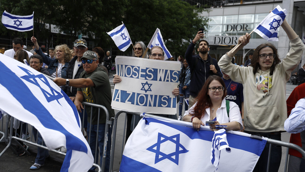 Bystanders cheer the 2023 Celebrate Israel Parade in New York City.