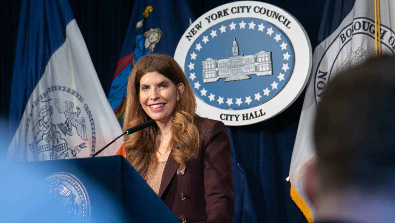 New York City Council Speaker Julie Menin on March 26. 