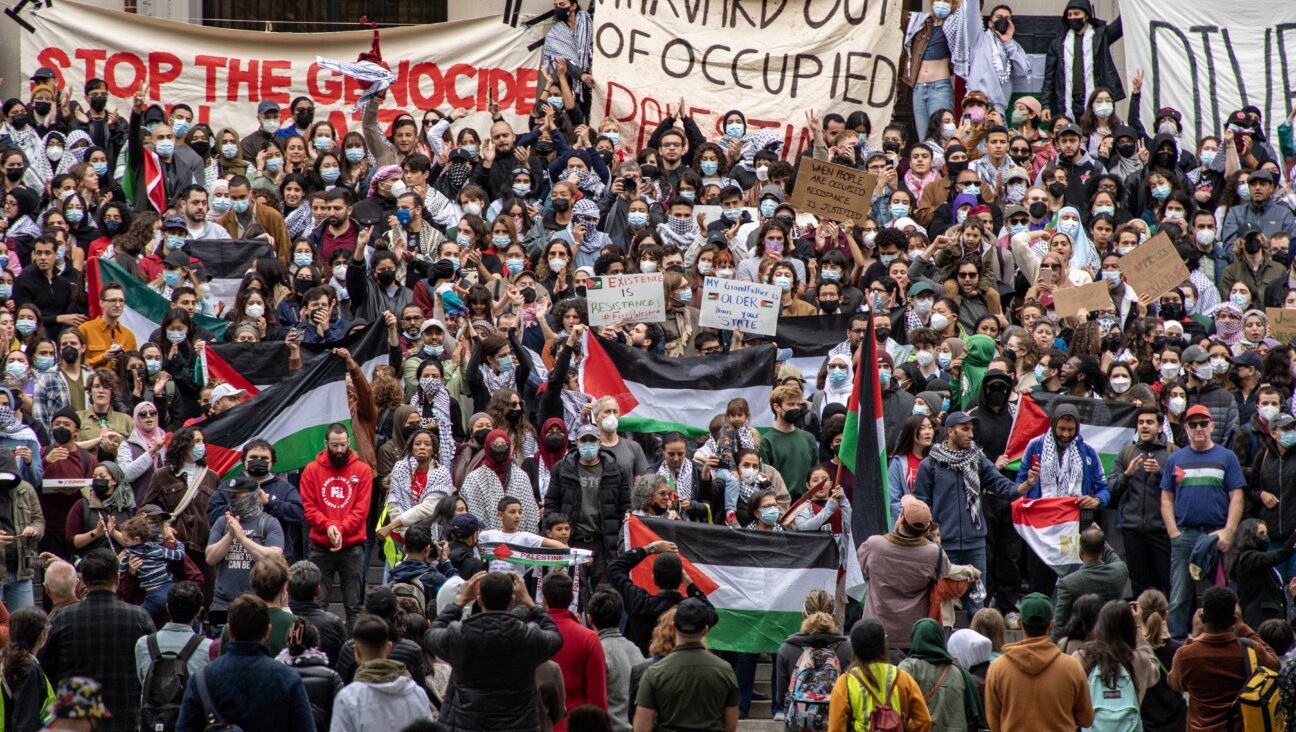 Supporters of Palestine gather at Harvard University to show their support for Palestinians in Gaza at a rally in Cambridge, Massachusetts, on October 14, 2023.