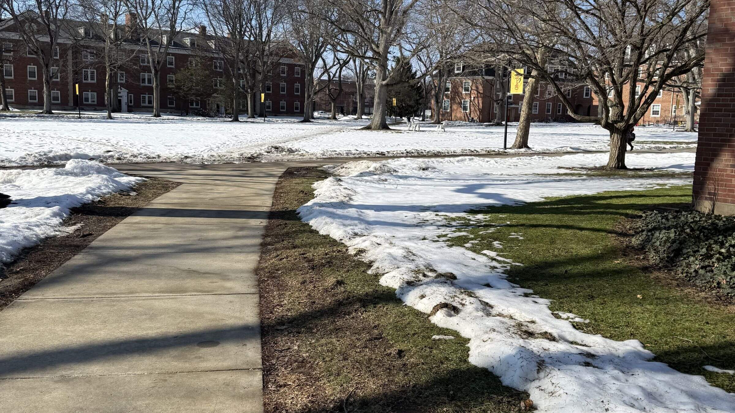 The Oberlin College campus. 