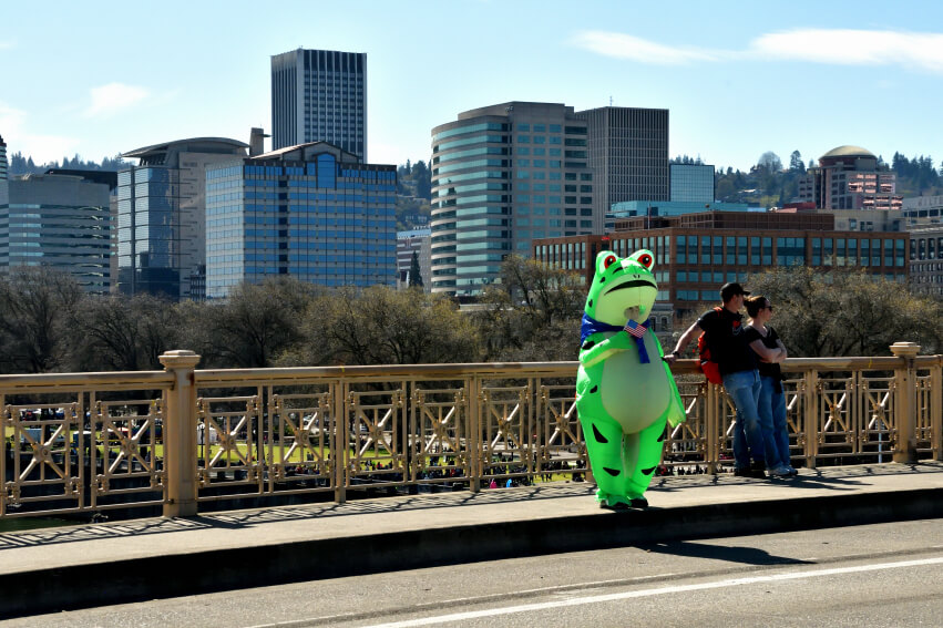 A frog looks on at the 'No Kings' march in Portland on March 28.