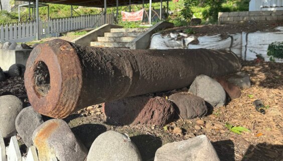 An 18th Century Cannon from St. Eustatius, which was transported to the Weitzman for the 'First Salute'