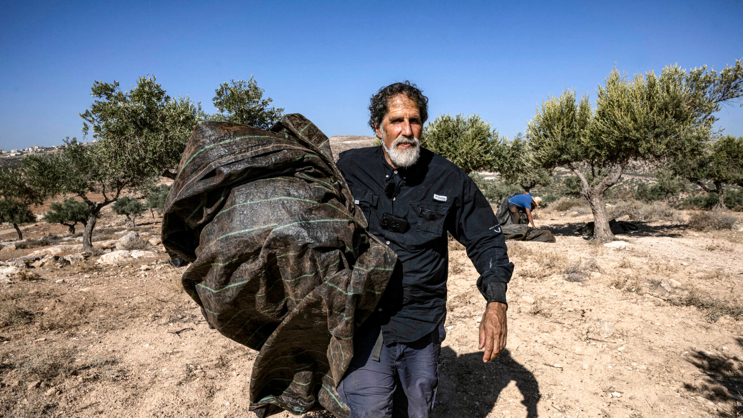 Rabbi Arik Ascherman, who leads Torat Zedek, is seen here helping Palestinians during the olive harvest at a grove outside Ramallah.