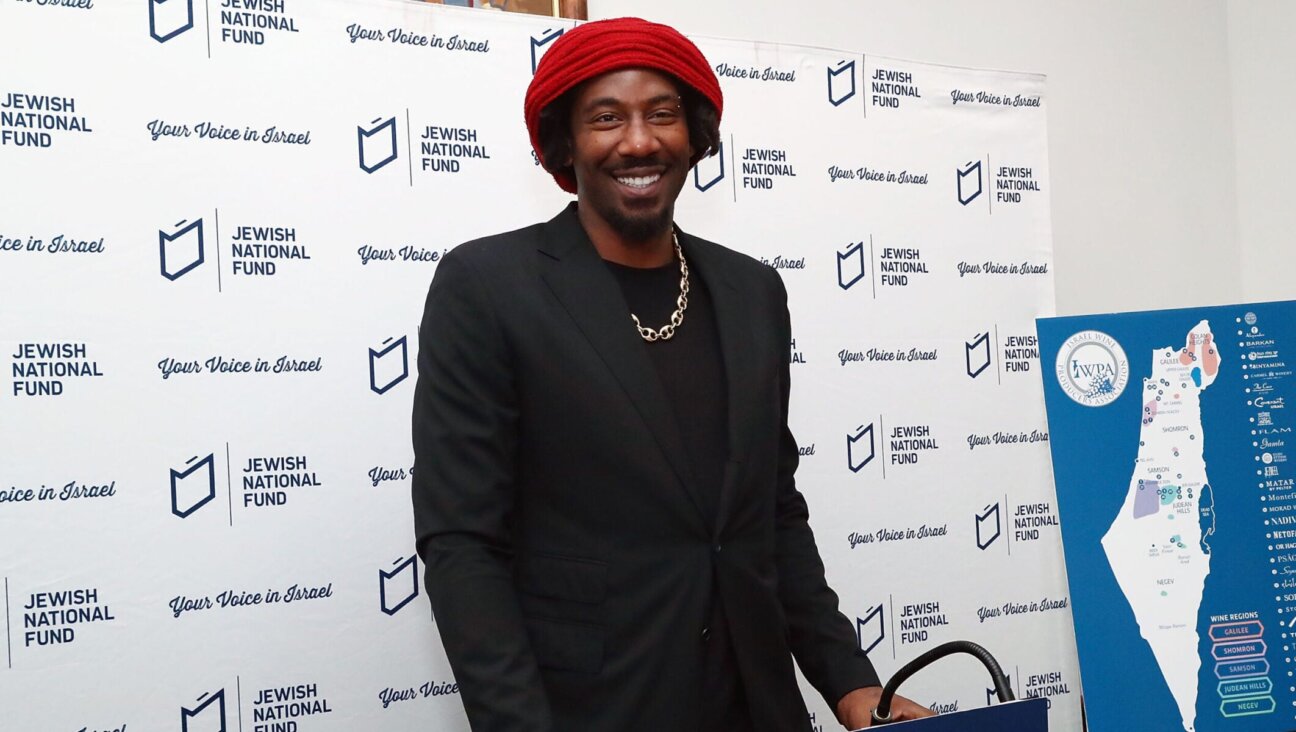 Basketball player Amar'e Stoudemire talks to press during a reception launching Stoudemire Wines held by the Jewish National Fund at Ronald S. Lauder JNF House, Feb. 20, 2018 in New York City.