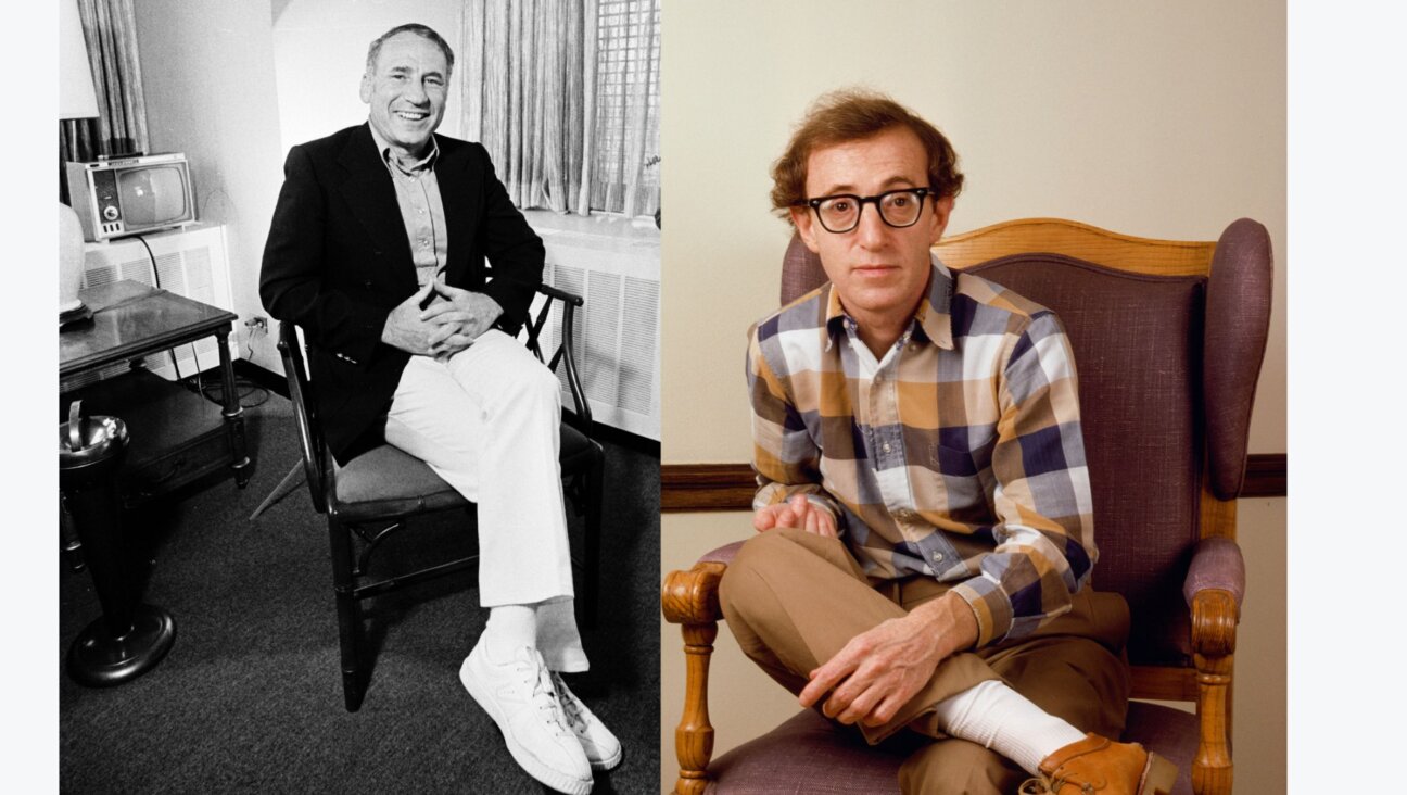 Mel Brooks and Woody Allen, two titans of film comedy, were compared on an episode of <i>Sneak Previews</i>.
