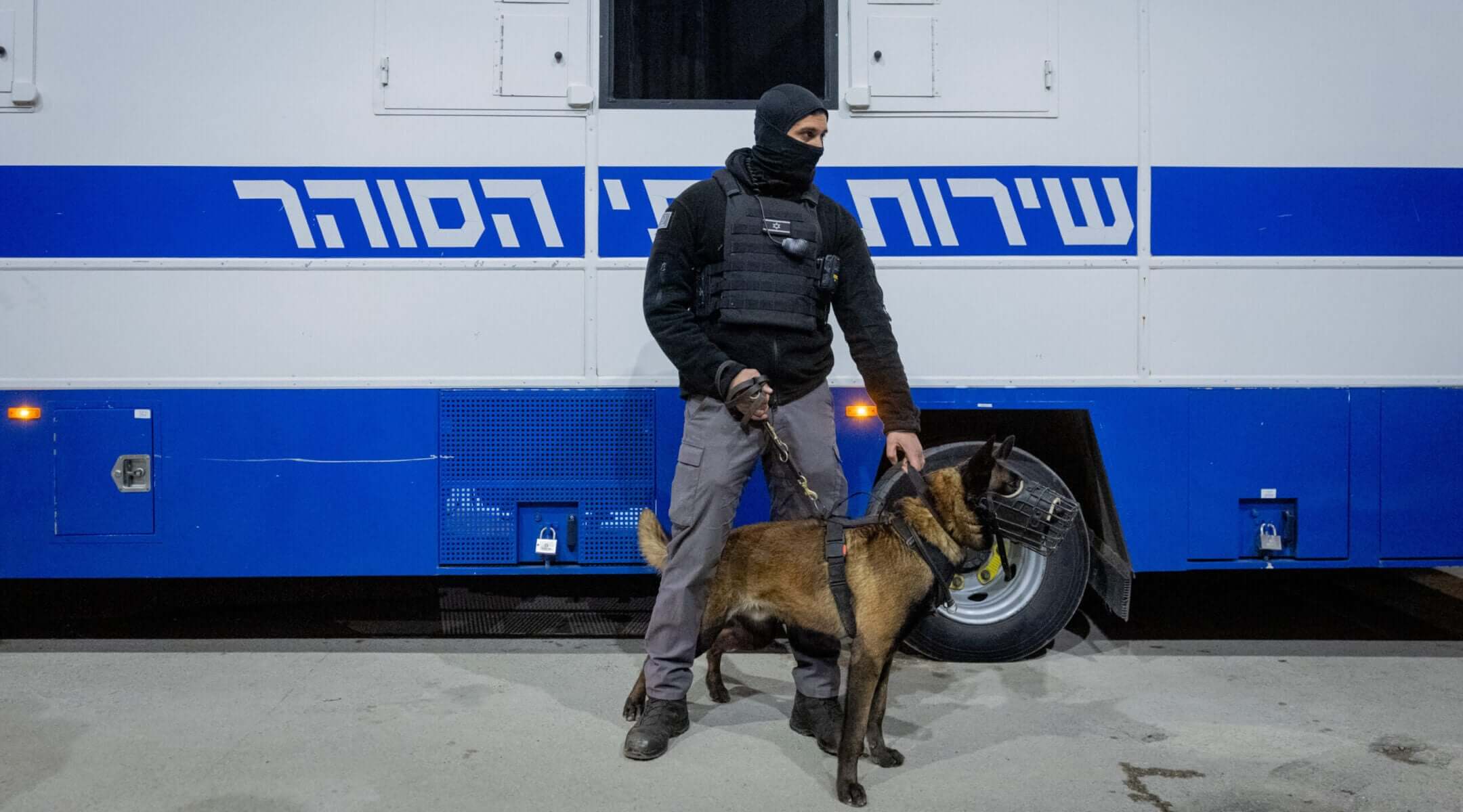 From Rutgers speaker to Kristof column, disputed dog rape claim against Israel...