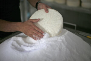Cheese is prepared for Shavuot, a holiday often associated with dairy. 