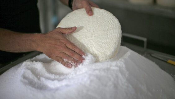 Cheese is prepared for Shavuot, a holiday often associated with dairy. 