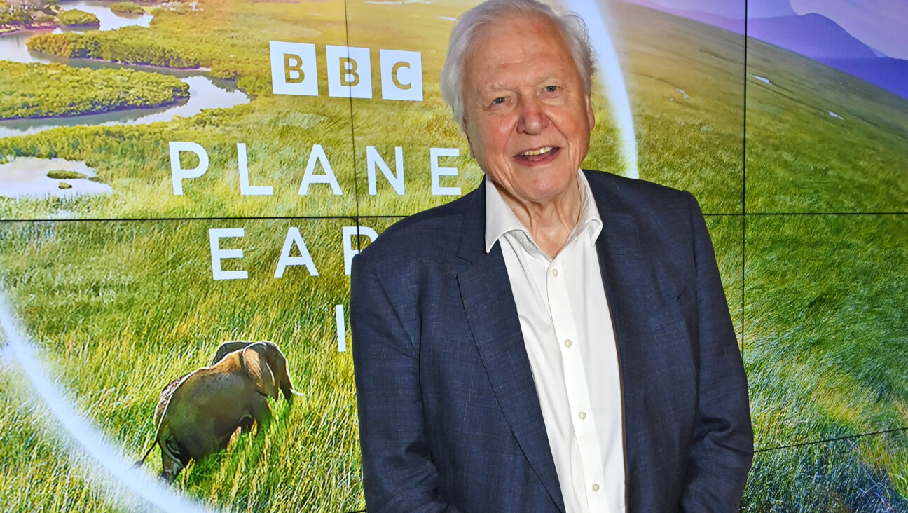 Sir David Attenborough attends the Global Launch of BBC Studios' "Planet Earth III," 2023.