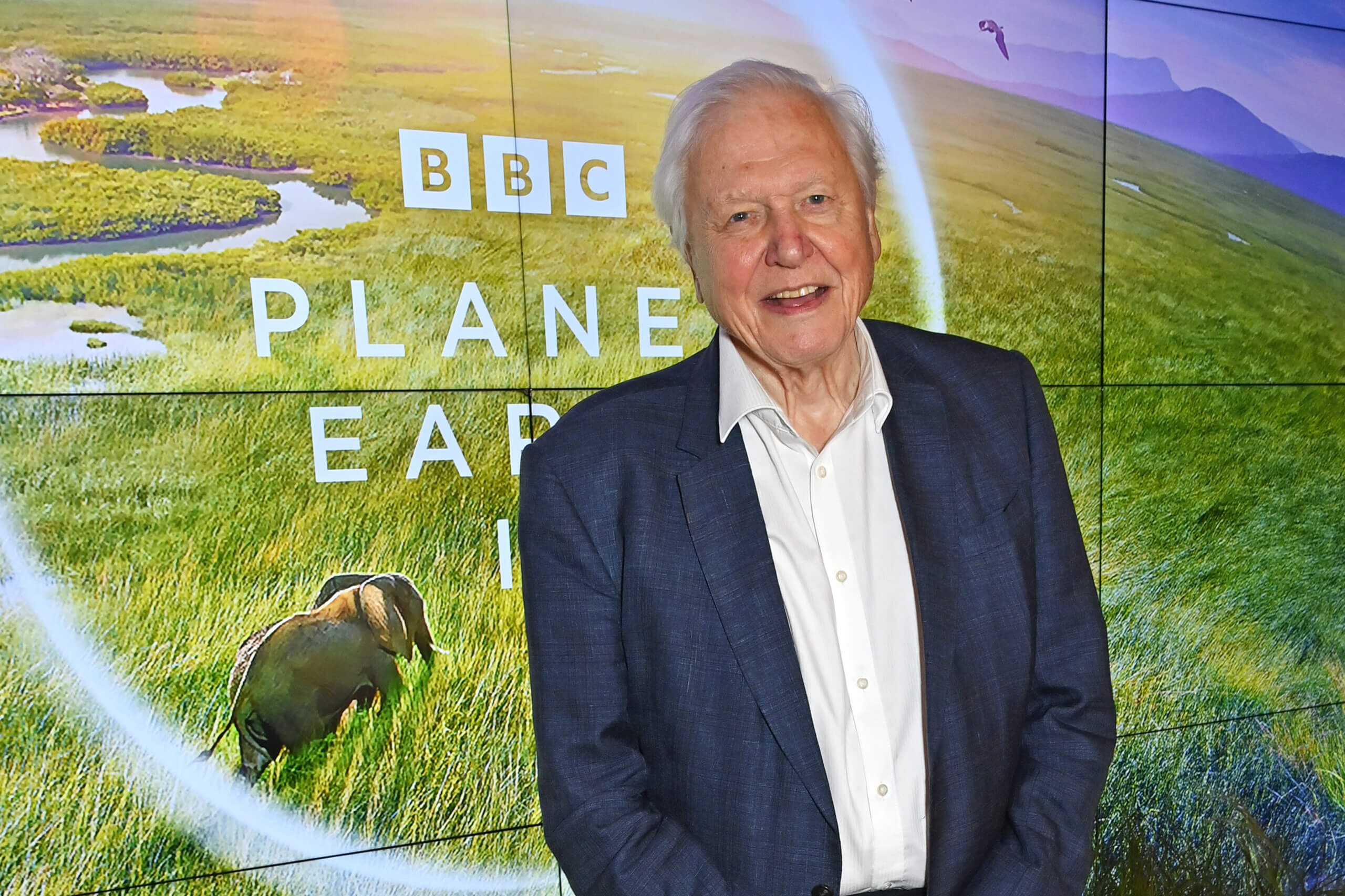 Culture In celebration of David Attenborough’s 100th birthday, a very Jewish song 'What a Wonderful World,' immortalized by Louis Armstrong and heard at Attenborough's centenary, has a particularly Jewish history By Benjamin Ivry 4 min read