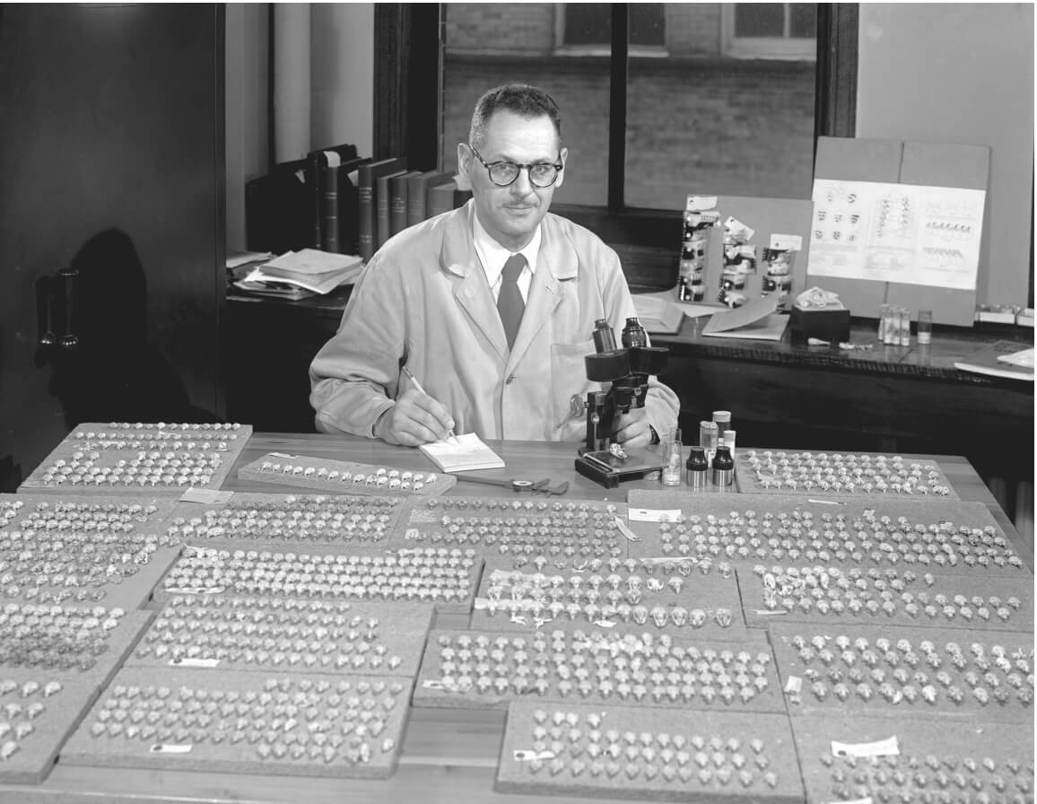 Philip Hershkovitz in his lab at Chicago's Field Museum in 1955.
