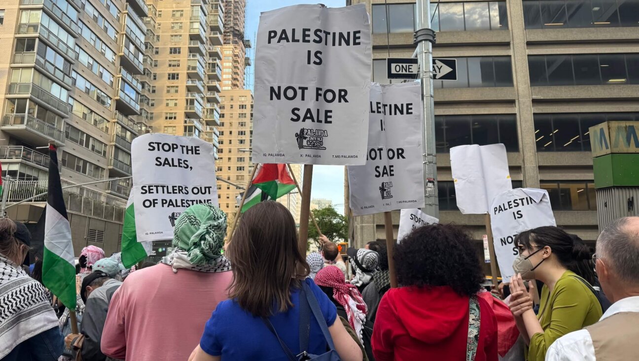 Pro-Palestinian protesters near Park East Synagogue in Manhattan, May 5, 2026. 