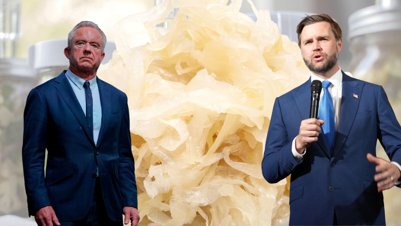 A few of sauerkraut's newest devotees.